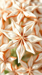 Poster - Closeup of Creamy White Flower Petals