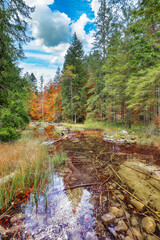 Wall Mural - captivating autumn scene near hinterer langbathsee lake.