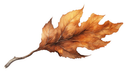 Wall Mural - png burnt leaf drawing plant tree.