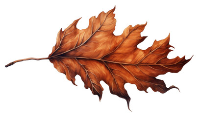 Canvas Print - PNG Burnt leaf plant tree white background.