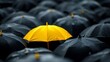 © Crazy Dark Queen - Vibrant Yellow Umbrella Standing Out Among Black Ones