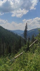 mountains in summer, carpathians, beautiful view of mountains and houses in mountains, countryside