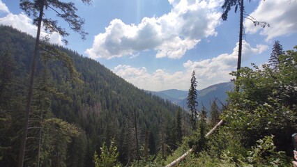 mountains in summer, carpathians, beautiful view of mountains and houses in mountains, countryside