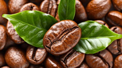 Wall Mural - Fresh roasted coffee beans and leaves on white background