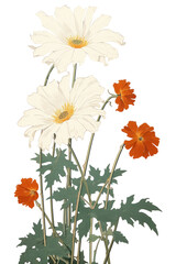 Sticker - PNG  Traditional japanese wood block print illustration of daisy flower petal plant.