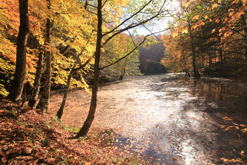 Autumn scene. Seven lakes Bolu Turkey