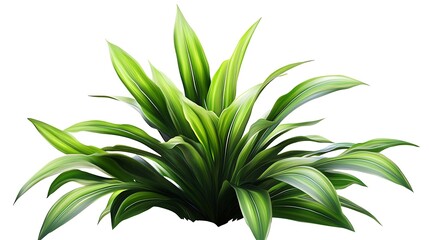 Sticker - A Lush Green Plant with Long, Narrow Leaves