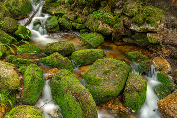 Stribrny creek in Krusne mountains in hot summer day