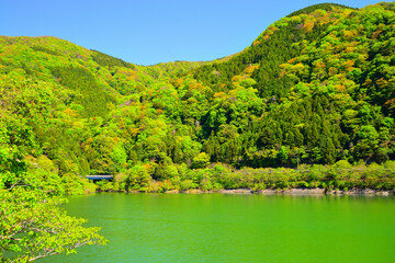 Sticker - 丹沢湖 神奈川県山北町の風景
