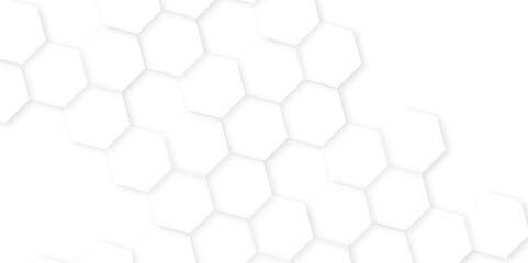 Fototapete - Abstract background with hexagon, modern abstract vector polygonal pattern. Futuristic honeycomb mosaic white background,white and gray hexagon honeycomb geometric copy space.