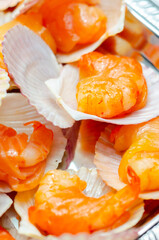 Wall Mural - A tray of shrimp is covered in shell cups