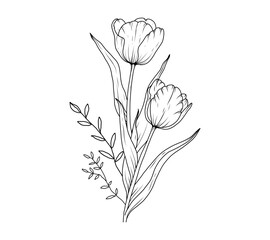 tulip flower bouquet line art sketch. floral outline hand drawn spring bouquet. tulips black vintage