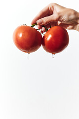 Poster - Fresh ripe tomatoes with water droplets held by two hands on a white background