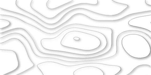 Wall Mural - geometric papercut wave shape abstract white background, vector illustration 3d papercut wave line geometric curved white background, Topographic map of geology and contour map.