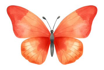 Canvas Print - PNG Cute butterflie butterfly animal insect.