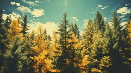 Wall Mural - Golden Forest Landscape with Blue Sky and Clouds