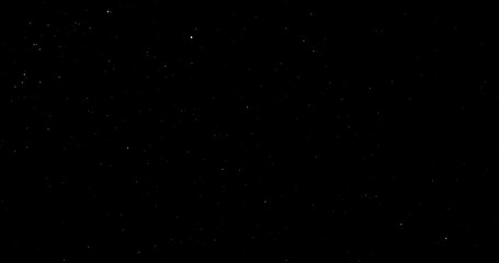 Wall Mural - Natural Organic Dust Particles Floating On Black Background. Dynamic Dust Particles Randomly Float In Space. Shimmering Glittering Dust Particles With Bokeh. Slow motion on Black Background.