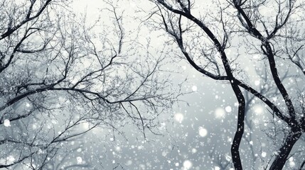 Poster - Abstract background of winter trees adorned with falling snow