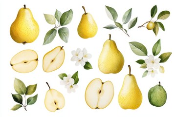 watercolor clipart collection featuring ripe pears with leaves, pear slices, blooming flowers, and b