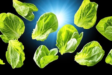 Wall Mural - Vibrant, fresh lettuce leaves floating gracefully against a dark background, illuminated by a soft light, perfect for food themes.