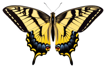 Poster - PNG Butterfly animal insect white background.