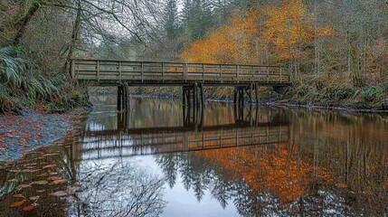 Poster -   A wooden bridge spans a body of water surrounded by trees and a forest backdrop, with leaves dotting the ground below