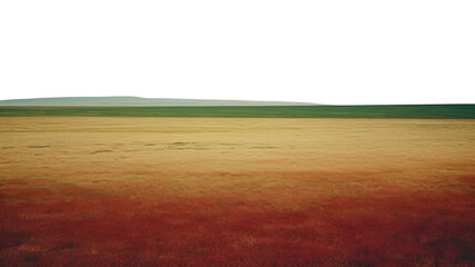 Canvas Print - PNG A minimal-large grassland landscape outdoors horizon.