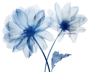 Poster - PNG Translucent blue floral art