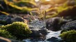 © Helois - A glass of fresh, clear water being poured in a natural setting.