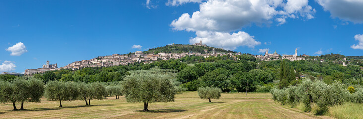 Wall Mural - Assisi - The panorama of old town.