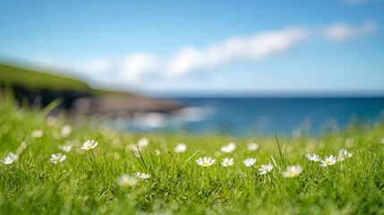 Wall Mural - Tall green grass swaying on a coastal hillside under a cloudy sky by the ocean