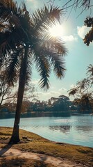 Wall Mural - a palm tree and a body of water