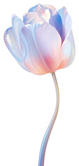 Wall Mural - PNG Tulip flower blossom petal plant.