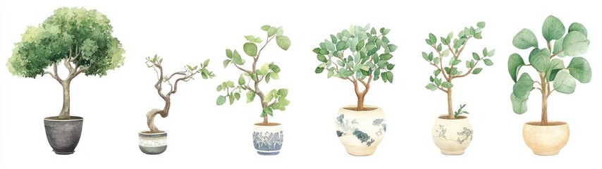 Wall Mural - Watercolor Illustration Potted Plants with Green Leaves