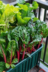 Poster - A container overflowing with various green and red vegetables, perfect for grocery or still life photography