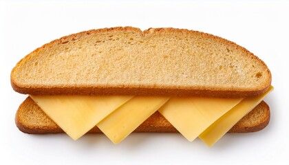 Wall Mural - cheese sandwich top view full length