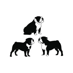 Bulldog silhouette set animals vector template illustration