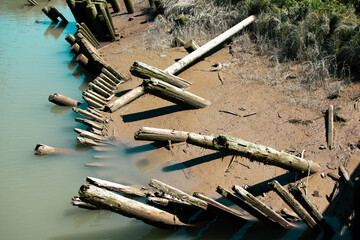 old and decayed sea barrier made of wooden pikes