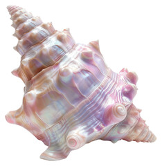 Sticker - PNG Iridescent conch shell on white