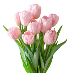 Canvas Print - PNG Delicate pink tulip bouquet