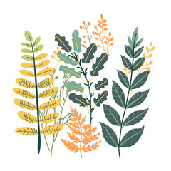 Wall Mural - plants, ferns