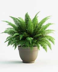 A hyperrealistic 3D render of a potted fern, lush and green, isolated on white background