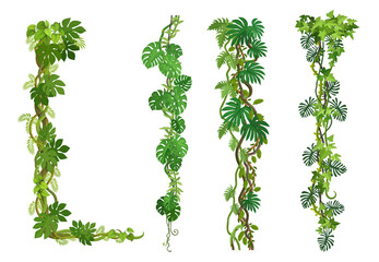 Wall Mural - liana vine, tropical jungle forest branches and ivy or monstera leaves, vector border frames. tropic