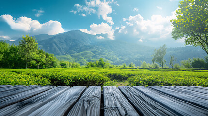 Wall Mural - landscape with wooden fence