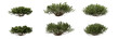 © moh - Deciduous fragrant sumac shrub bush 3D render overcast lighting on isolated transparent background png