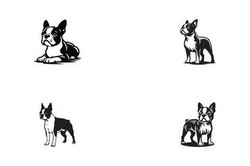 Wall Mural - set of Boston Terrier dog vector illustration design, Boston Terrier dog silhouette logo design black and white 