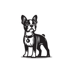 Wall Mural - Boston Terrier dog vector illustration design, Boston Terrier dog silhouette logo design black and white 