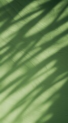 Wall Mural - Green wall with shadows