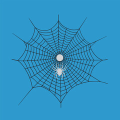 spider and web Spider net spider web nature dew cobweb insect net spiderweb pattern water macro Halloween network trap spiders drop vector