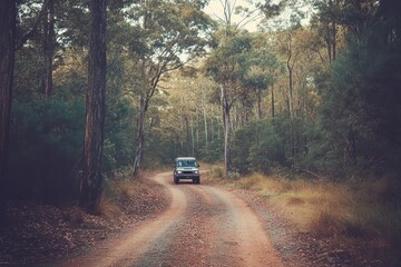 Sticker - Vintage toning filter added for off road in Perth forests